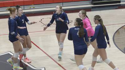 Photos: Fieldcrest volleyball defeats Woodland to advance to the Class 1A Regional final