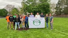 City of Morris recognized as Tree City USA by Arbor Day Foundation
