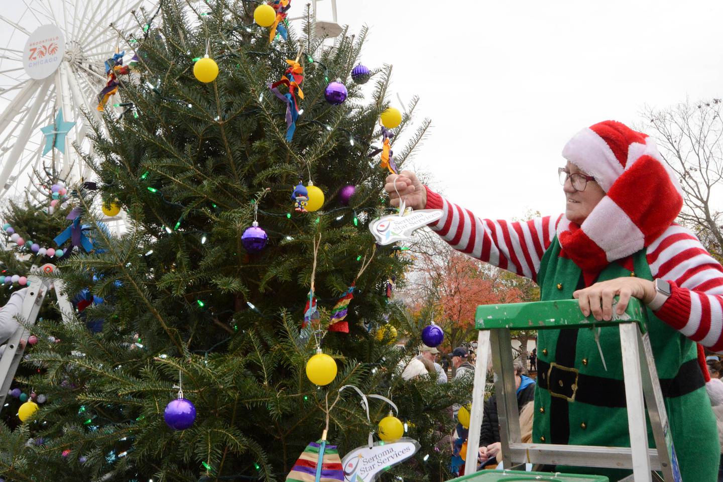 Brookfield Zoo Chicago’s annual Tree Trim is set for Nov. 8-9.