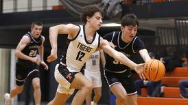 Photos: Hampshire vs. Crystal Lake Central boys basketball