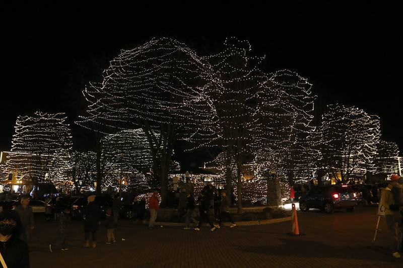 Some of the ten thousand lights shine during the Lighting of the Square Friday, Nov. 25, 2022, in Woodstock. The annual event featured brass music, caroling, free doughnuts and cider, food trucks, festive selfie stations and shopping.