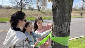 Geneva Mental Health Board, students promote mental health awareness in May