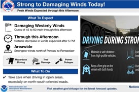 High winds down power lines, close roads in McHenry County 
