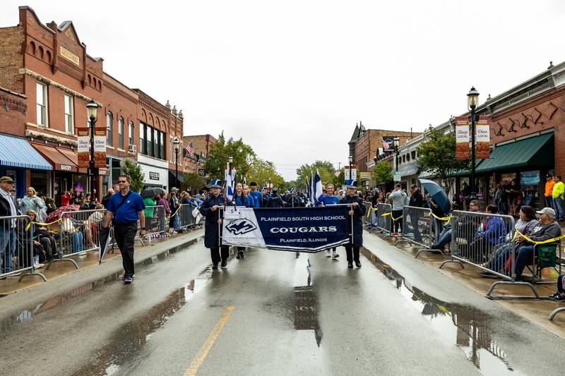 The Plainfield South High School Cougar Marching Band walks in the Plainfield Community Homecoming Parade on Sept. 28, 2024.