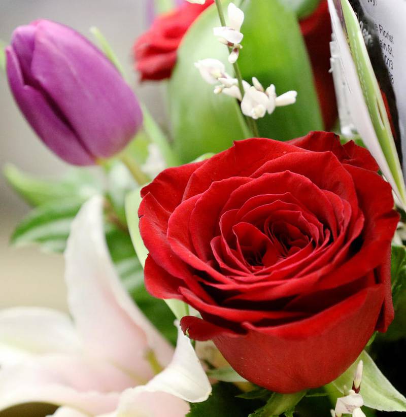 Matthew Apgar - mapgar@shawmedia.com
Flowers are neatly arranged for Valentine's Day on Saturday, Feb. 13, 2016 at Periwinkle Florist in Cary.