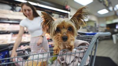 Retail sales up 0.6% in August from July even as tariffs hurt jobs and lead to price hikes