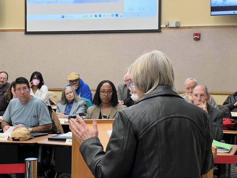 Joyce Klein, a member of the public who closely followed the years-long saga surrounding the DeKalb County Rehabilitation and Nursing Center gave the Dekalb County Board Committee of the Whole her recommendations for the newly formed nursing center oversight board on Feb. 14, 2023.