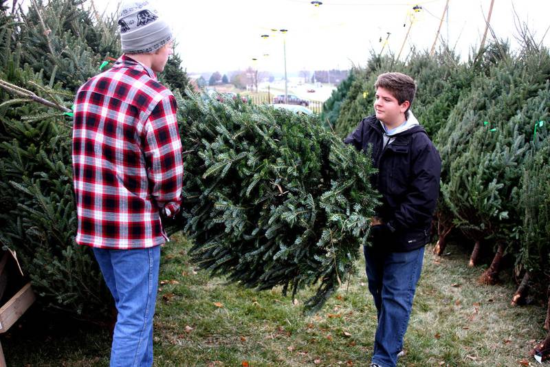Scouts carry a Christmas tree to the front of the lot on Bridge Street during a previous year's tree sale.