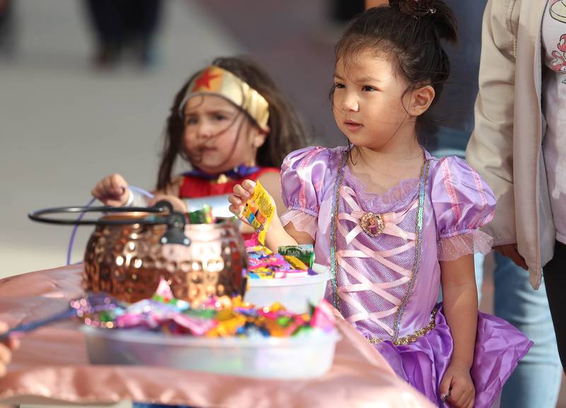 Olivia Phan, 3, of DeKalb, stops for a treat at one of the shops on Lincoln Highway during the DeKalb Chamber of Commerce’s annual Spooktacular Tuesday, Oct. 29, 2024, in downtown DeKalb.