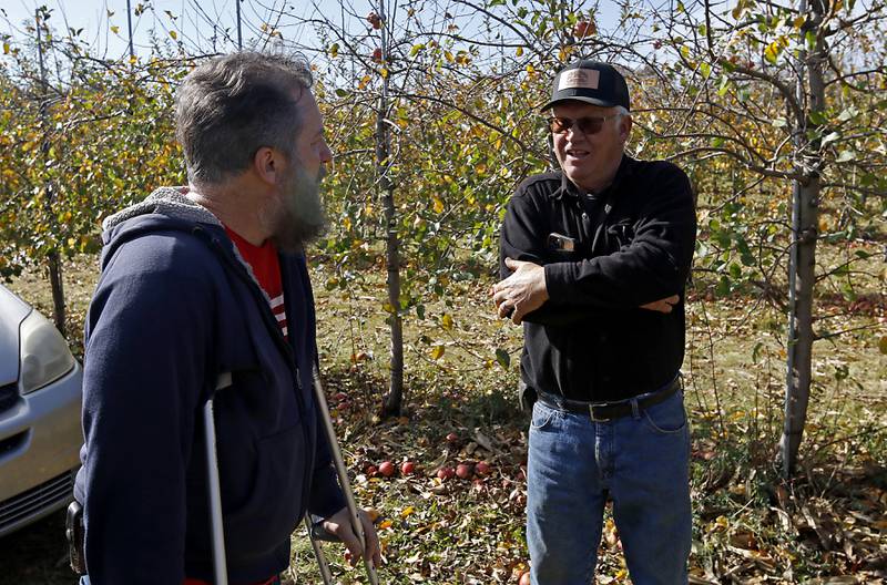 Stade's Farm owner Vernon Stade (right) talks with Nate Steinman of the La Grange Bible Church Food Pantry, as he picks apples on Thursday, Nov. 7, 2024, at the farm north of Johnsburg.  Every year at the end of the season Stade invites nonprofits, food pantries and other organizations to come pick what's left in their fields for free.