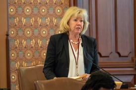 Illinois Senate advances bills requiring more insurance for boaters, protections for mobile ID users