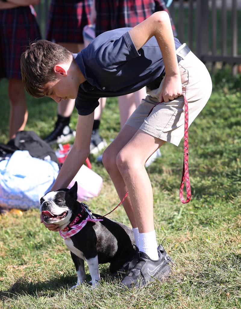 Students and parents gathered on the lawn Thursday, Oct. 3, 2024, at St, Mary’s in Dixon to have their pets blessed.