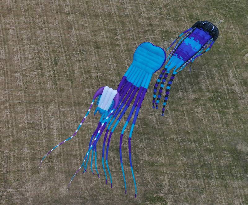 Photos Kites in Flight fills the sky at Heritage Harbor in Ottawa