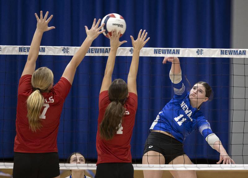 Newman’s Isabelle Lanning hammers a shot against Hall Tuesday, Oct. 21, 2025.