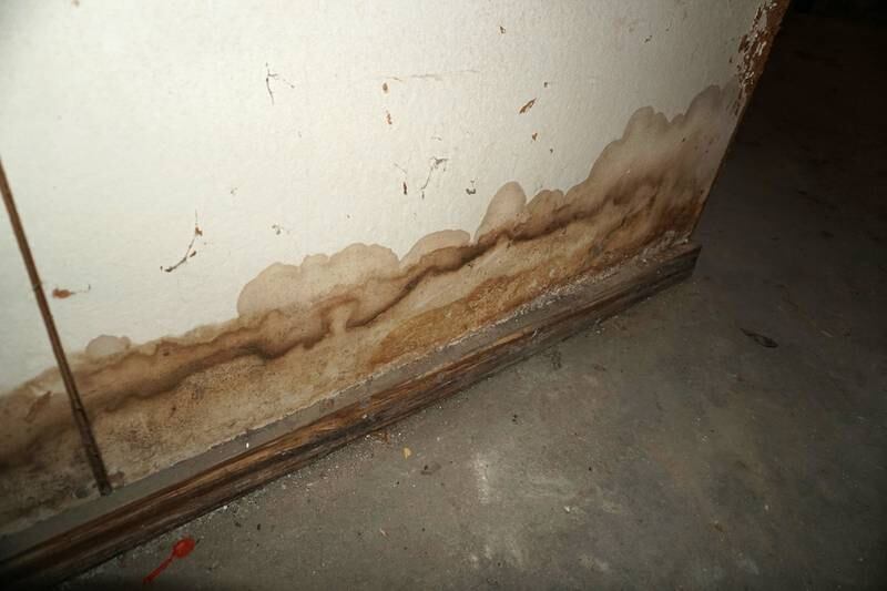 Jays Plumbing - How to Clean a Sump Pump: The Ultimate Guide