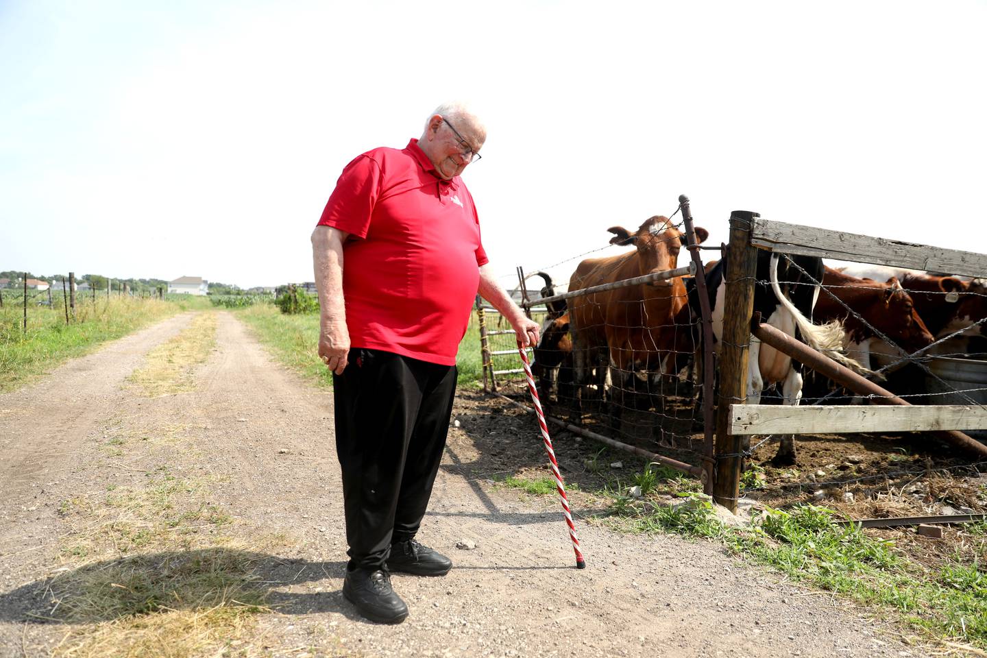 Mike Kenyon, who served during the Vietnam War, runs his family’s dairy farm in South Elgin.