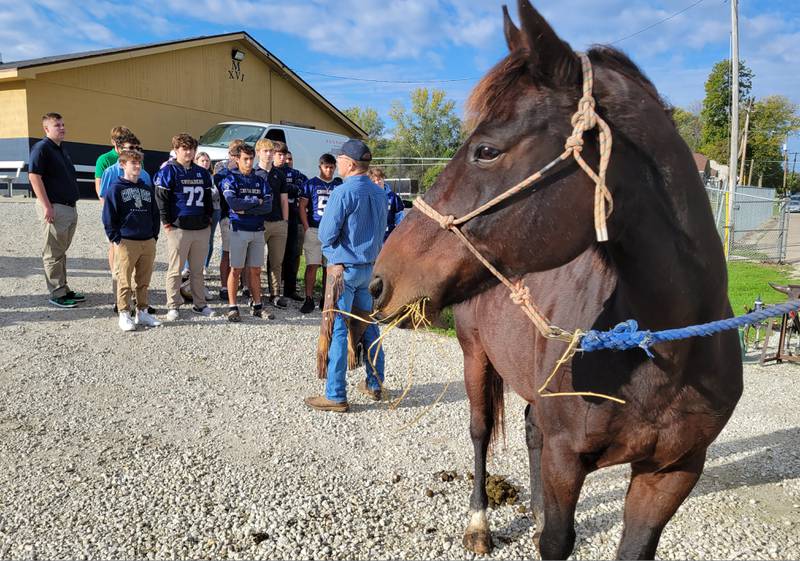 Romo, a 20-year-old quarterhorse, keeps an eye on owner Don Haag of Pontiac as the job of putting on horseshoes is described to the Marquette FFA class Friday morning in Ottawa.