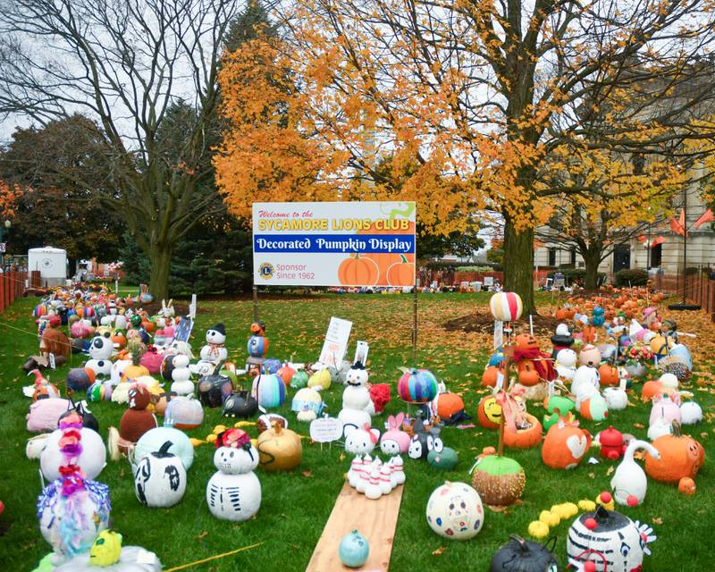 Pumpkins are on display at the Sycamore courthouse lawn during the Sycamore Pumpkin Festival on Friday Oct. 27, 2023.