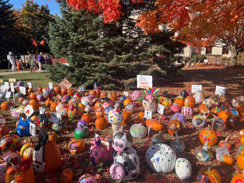 While only three pumpkins earned distinctions per category grouping in the 2024 Sycamore Pumpkin Festival pumpkin decoration contest, each category received dozens of entries, including these entries, pictured on Oct. 25, 2024, into the 5 and under happy and fancy category.