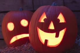 Oswegoland Park District rolling out Prairie Point Pumpkin Patch on Saturday