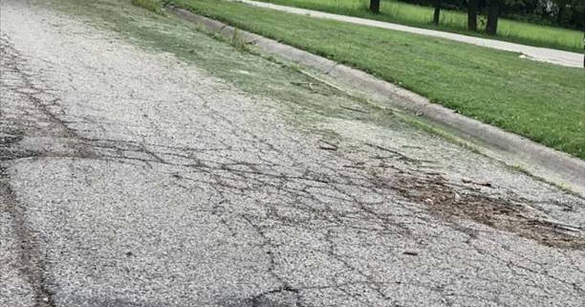 2022 primary election Harvard sales tax, Crystal Lake Park District