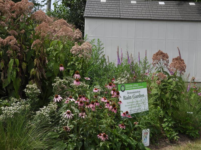 University of Illinois Extensions Office demonstration rain garden