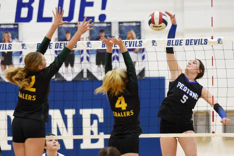 Peotone's Cora Pagliarulo, right, looks to send a hit past Coal City's Darcie Ladas, left, and Sydney Larson during a game at Peotone Thursday, Sept. 18, 2025.