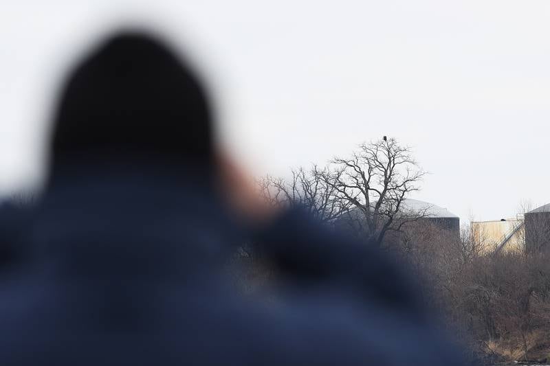 A bird watcher checks out an eagle perched on a treetop across the Des Plaines River at the Four Rivers Environmental Education Center’s annual Eagle Watch program in Channahon.