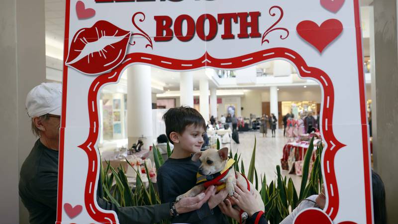 A smooch from a pooch: Rescue dogs meet pet lovers at kissing booth in Yorktown Center 
