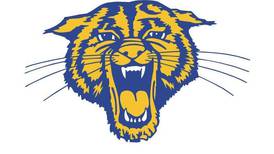 Somonauk cheer makes state; Streator girls capture second victory: The Times Saturday Roundup
