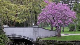 Photos: Spring is in full bloom in DeKalb County