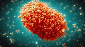 Monkeypox in Winnebago County, same Health Region as the Sauk Valley