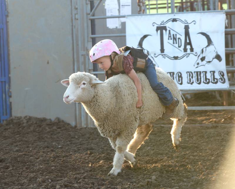 Westlyn Huss, 6, of Lee, hangs on to her sheep as she competes in the "Mutton Buster' event during the rodeo at the Lee County Fair on Saturday, July 29, 2023.