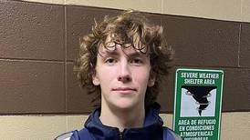 Lemont’s Shea Glotzbach throws perfect game: Saturday’s Suburban Life sports roundup