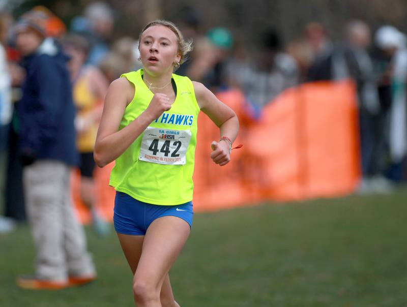 Johnsburg's Clara Nicoline competes in the Class 1A State Cross Country Championships on Saturday, Nov. 9, 2024 at Detweiller Park in Peoria.