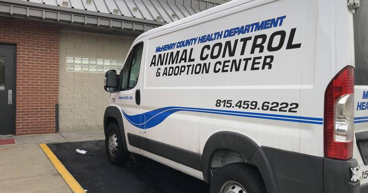 Lowcost pet vaccination, microchip clinics open to McHenry County