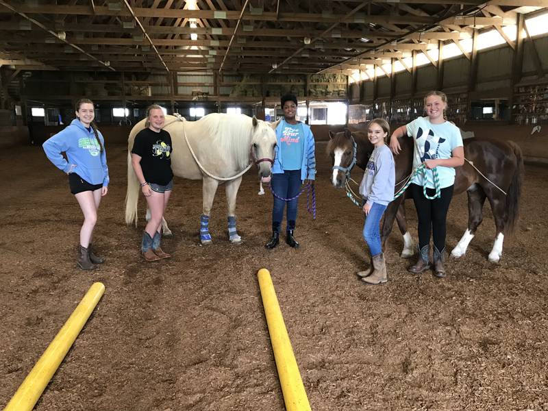 Members of a previous Copper Bit Ranch book club are, from left, Anna Propheter, Rory Weakman, Jade Setchell, Elly Redfield, and Saida Bajrami with the palomino Metallica and the chestnut pony Destiny.