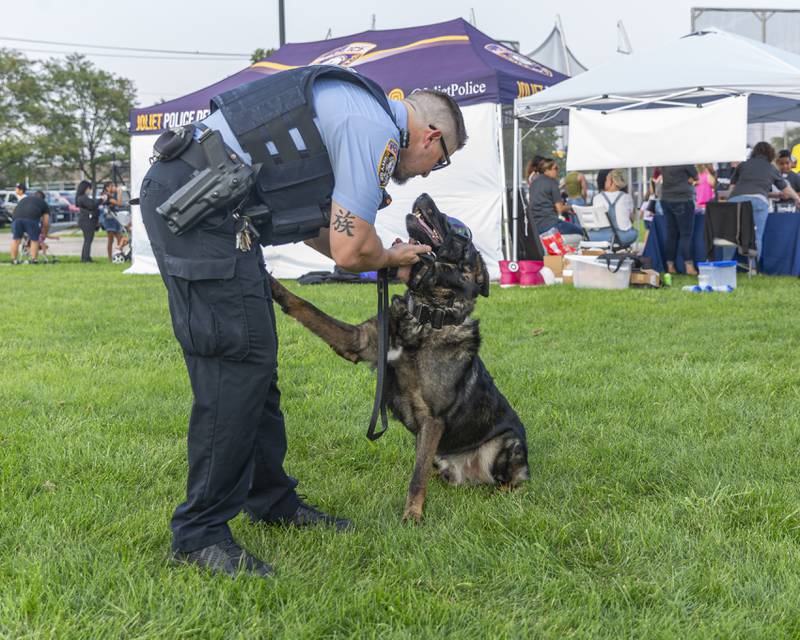 An officer plays with Rex the police dog at the Joliet Police Department's National Night Out event Tuesday, Aug 5, 2025  in Joliet.