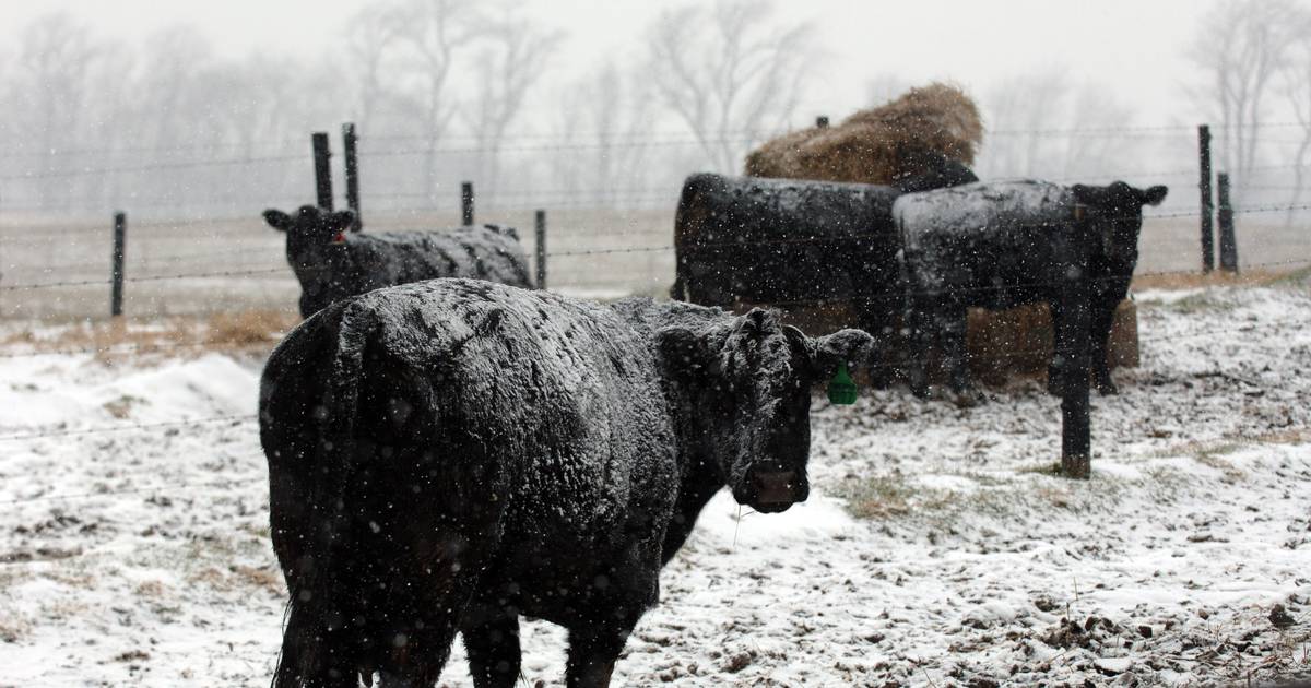 Henry: Farmers need a financial boost