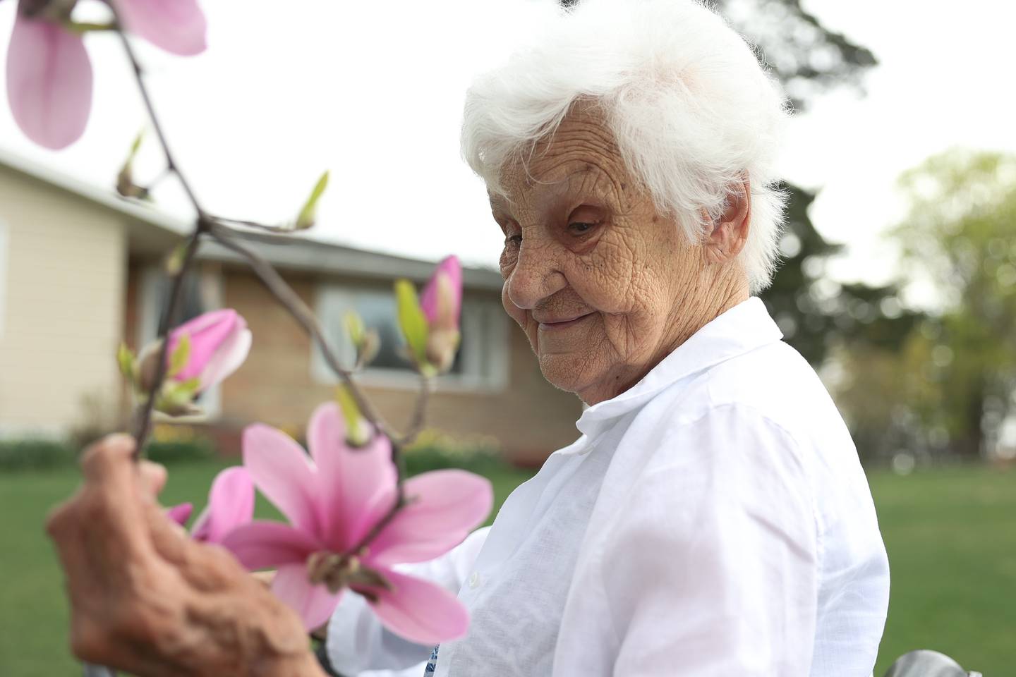 Dolores Spangler, 95 years old, enjoys the Magnolia tree she planted years ago at her home in Homer Township.