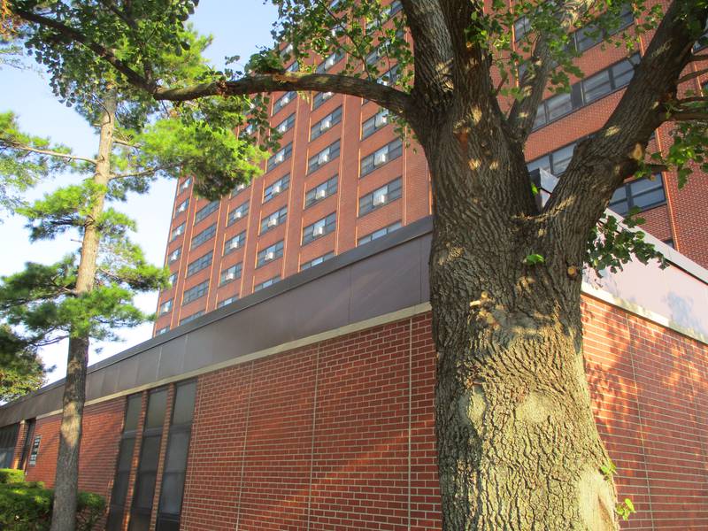 Developer John Bays is developing the former Housing Authority of Joliet building at 311 N. Ottawa Street in downtown Joliet into apartments for middle-income tenants. Aug. 19, 2024