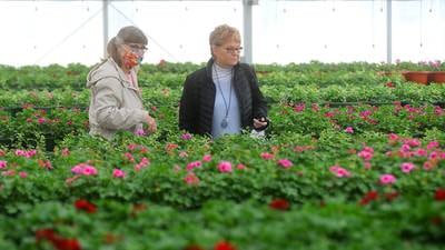 McHenry County agri-tourism businesses hope to build on pandemic successes