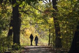 New pedestrian bridge planned for Maple Grove Forest Preserve near Downers Grove