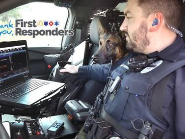 Meet Wes, Sycamore’s first K-9 police officer