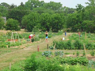 Calling all Green Thumbs: St. Charles Park District garden plots available for rent