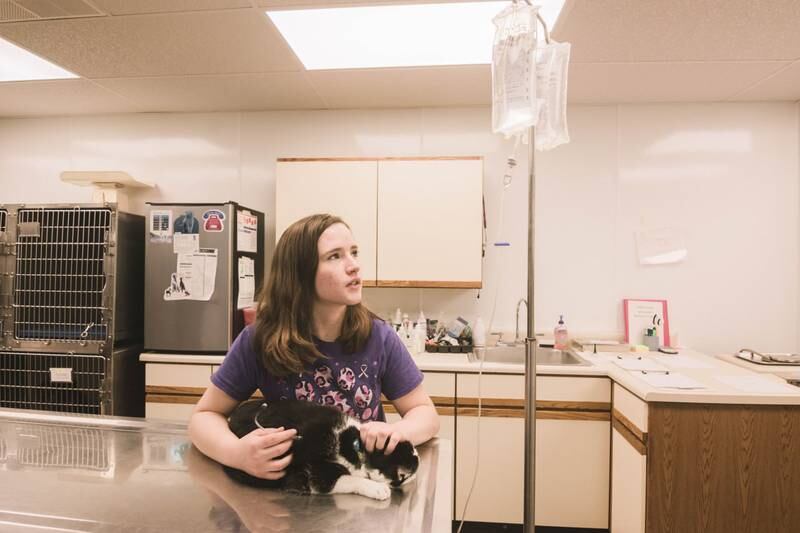 Sydney Long, May 2024 graduate of Streator High School, was named a National Finalist in the area of Veterinary Science with her Supervised Agricultural Experience project at Countryside Vet Clinic.