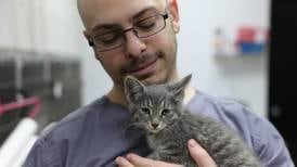 Joliet animal hospital helping displaced pets in Ukraine