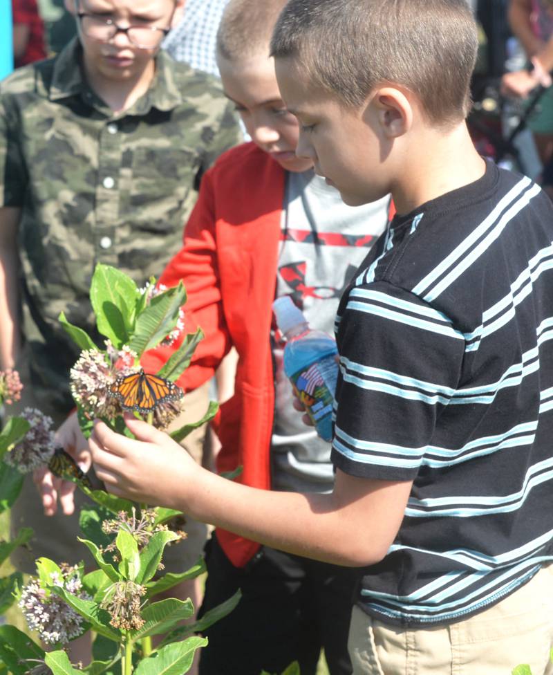 Bennett Full, 8, of Dixon, (right) coaxes a monarch butterfly to land on a milkweed plant as Bentley Helfrich, 9, also of Dixon, watches. The butterfly was one of 363 released at the Serenity Hospice & Home Memorial Butterfly Release on Saturday, July 8, 2023, in Oregon.