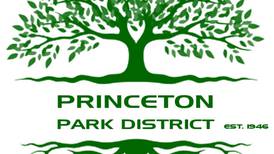 Construction nearing completion on park shelter project in Princeton