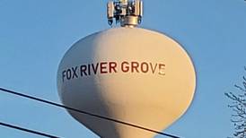 Fox River Grove trustee censured by board for ‘potentially slanderous’ comments